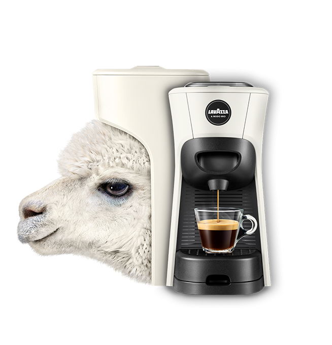 Lavazza Tiny Eco