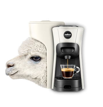 Inizia la giornata con un caffè consapevole.