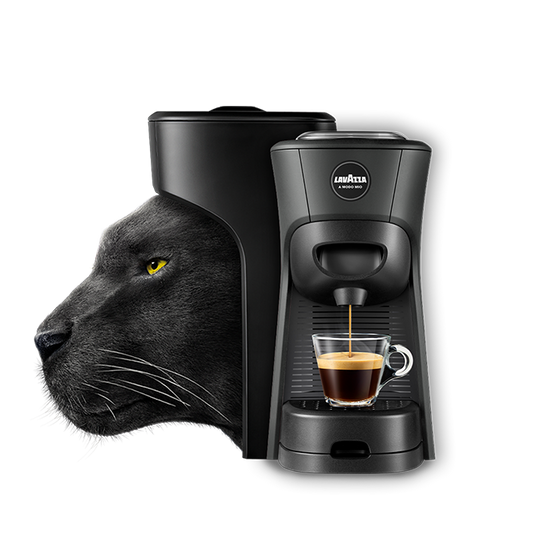 Lavazza A Modo Mio Tiny Eco